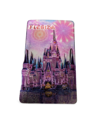 Florida 3D Magnet - "Magic Castle"