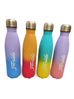 Florida Stainless Steel Bottle (Hot and Cold) - "Matte Finish" Multicolor