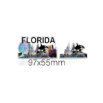 Florida 3D Magnet - "Sunshine State"