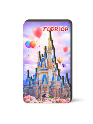 Florida 3D Magnet - "Castle of Fairy Tale"