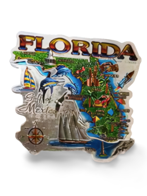 Florida 3D Magnet - "Florida Map"