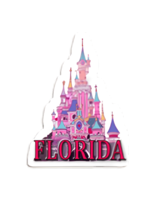 Florida 3D Magnet - "Pink Castle"