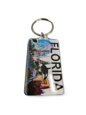 Florida Acrylic Key Chain - "Dolphins in Sunshine State"