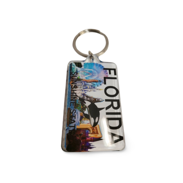 Florida Acrylic Key Chain - "Dolphins in Sunshine State"