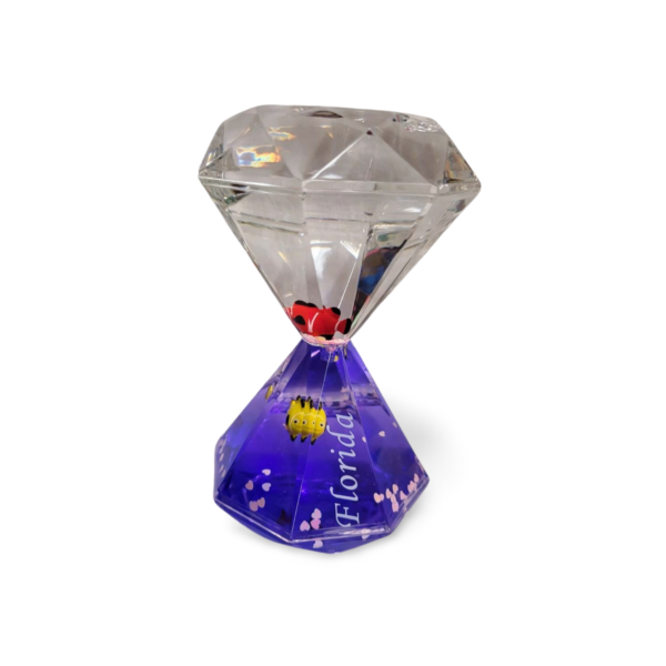 Liquid Motion Timers - Green, Blue, Purple, Pink