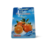 Florida Family Magnet - "Teacher Like You - Orange"