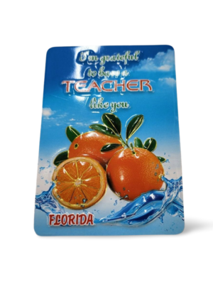 Florida Family Magnet - "Teacher Like You - Orange"