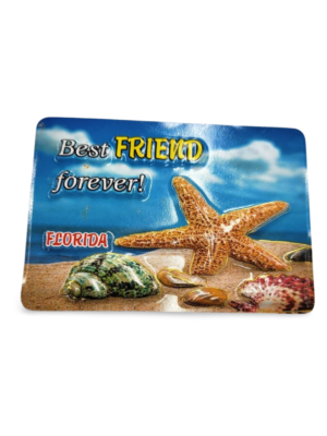 Florida Family Magnet - "Best Friend Forever - Sea Animals"