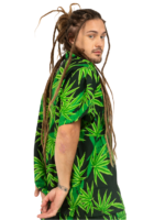 Men's Hawaiian Shirt 'GRASS GREEN'