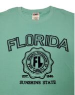 Embroidery T-shirt Florida College Celadon