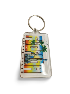 Florida Acrylic Key Chain - "Sunshine State"