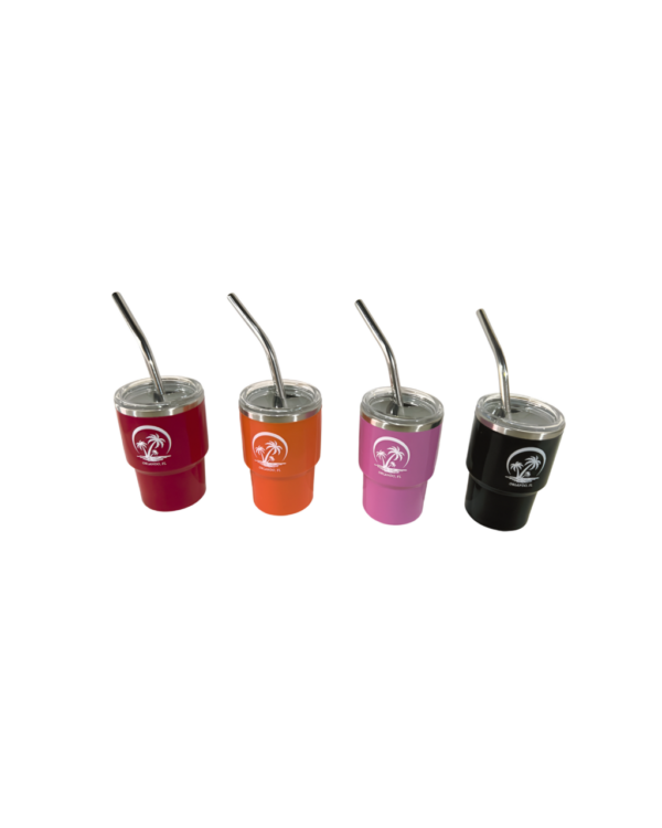3oz Palm Tree Stainless Steel Vacuum Insulated with Lid and Straw, Hot & Cold Tumbler.